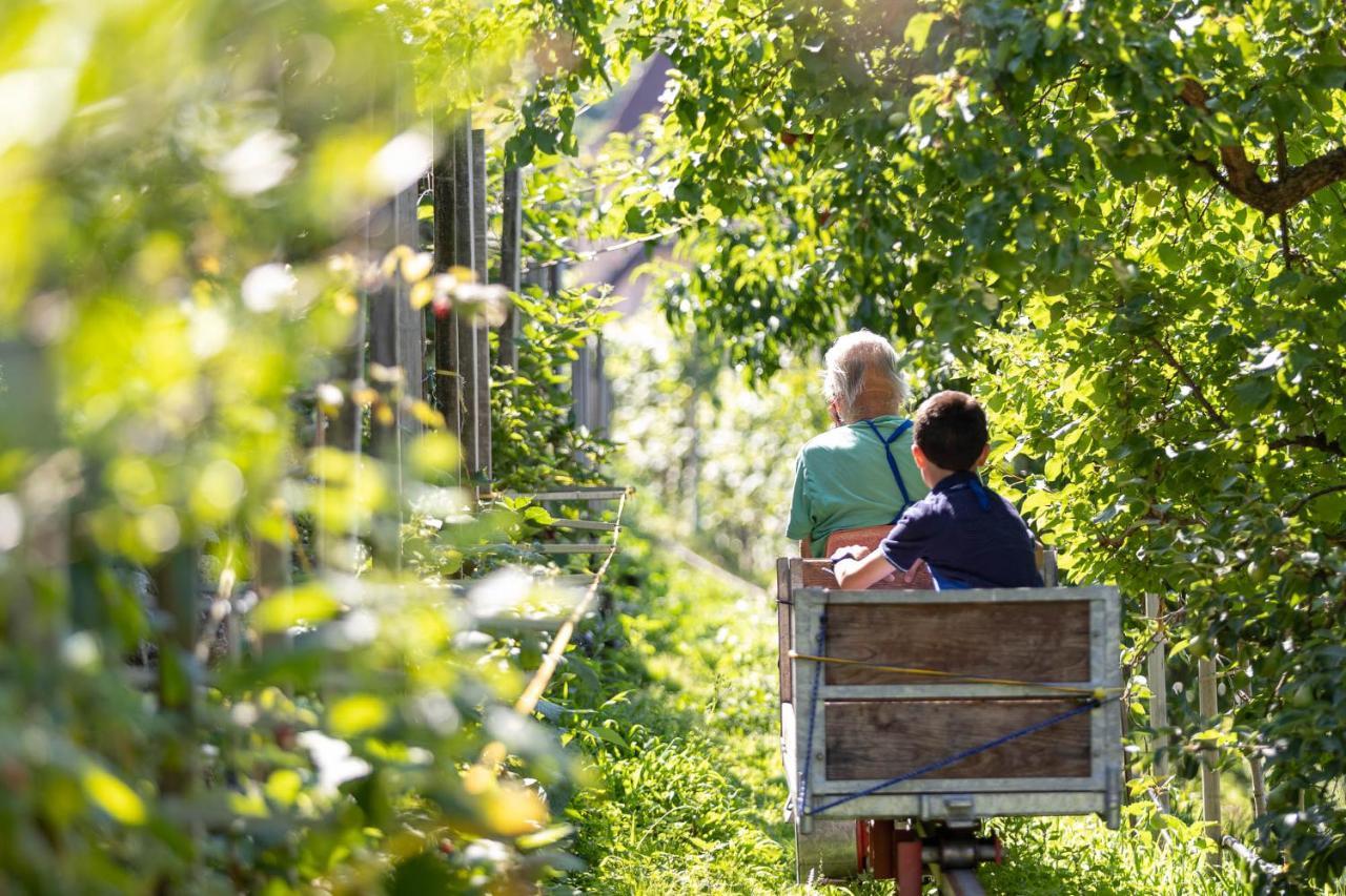 梅拉诺Der Ladurner Hof - Wohnen Am Weinberg公寓 外观 照片